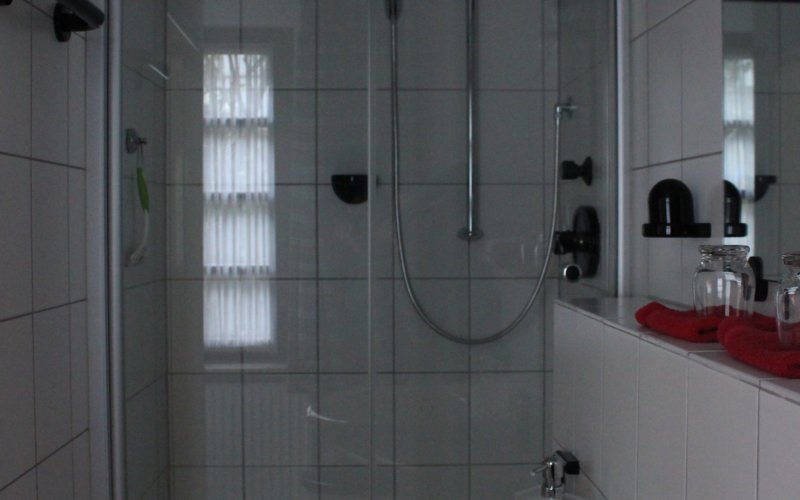 Ferienwohnung Seligenstadt Badezimmer mit Dusche